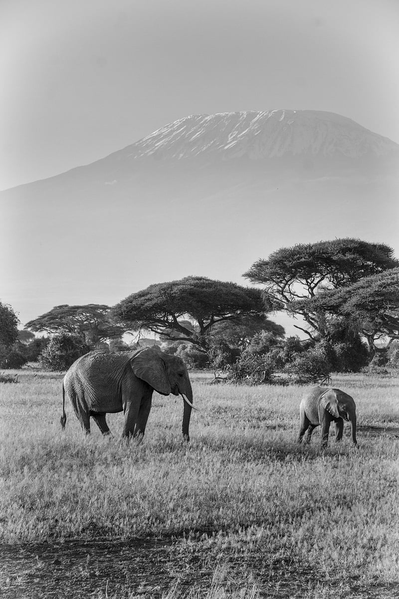 Mount Kilimanjaro